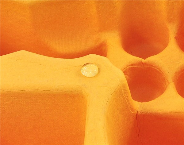 濕壓紙托 濕壓紙托